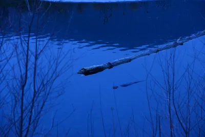 DSC_1122 (Large).JPG